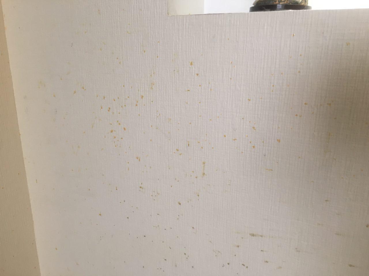 Strange plaque on the wall, help identify - My, No rating, Dirt, Everyday life, Longpost