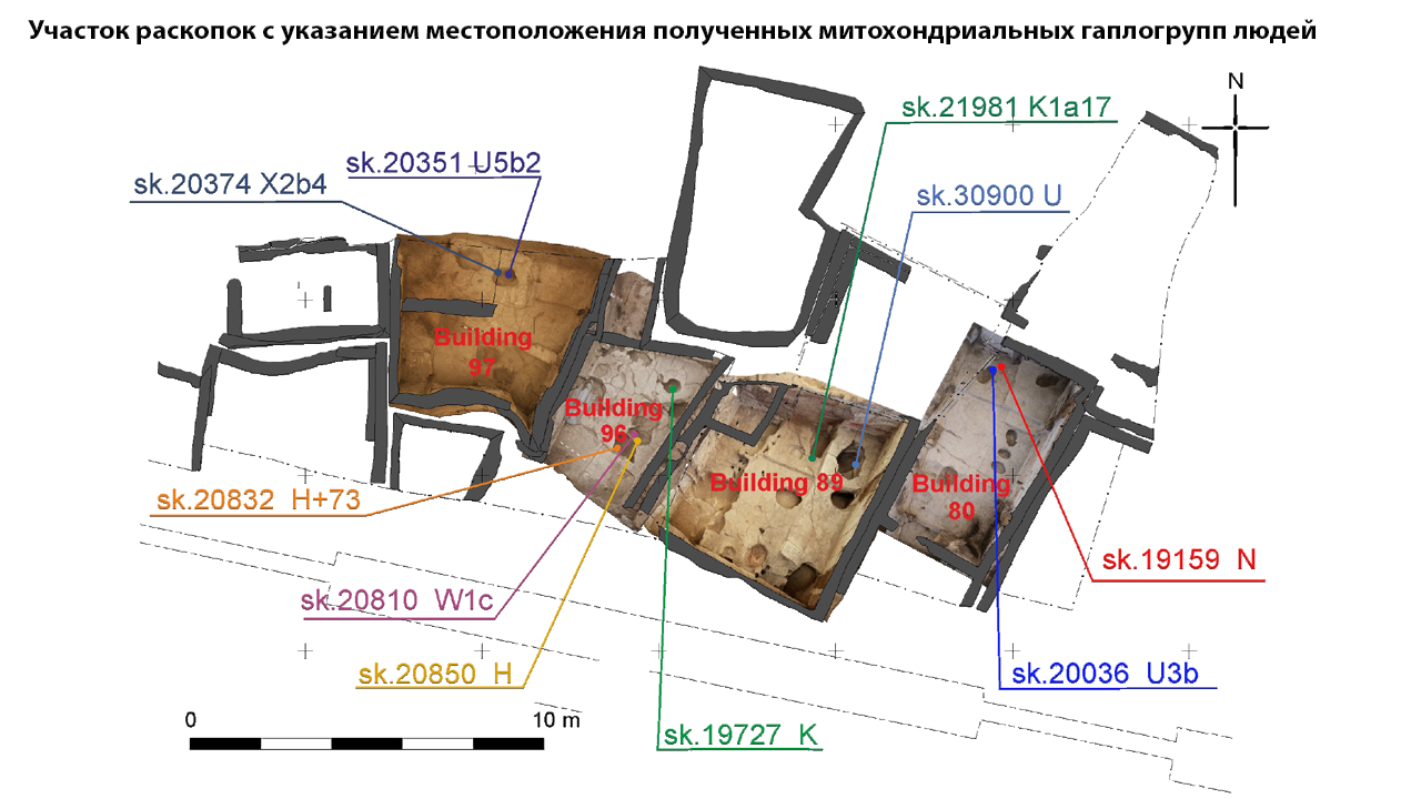 Life and problems in the Neolithic settlement of Chatal Huyuk. - My, Longpost, Video, The science, Neolithic, Stone Age, Agriculture, Catalhoyuk, Archeology, Anthropology, Story, GIF