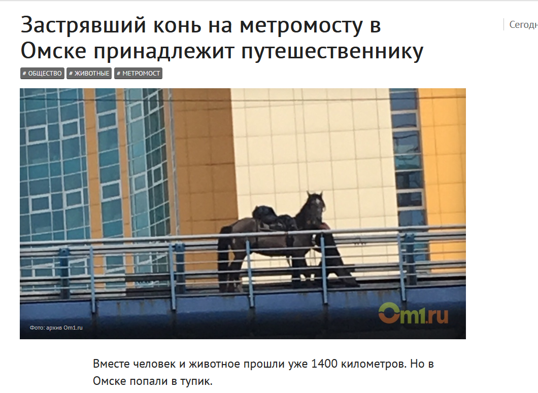 In Omsk, a horse got stuck on the Metro bridge (chronicle of the event) - Omsk, Horses, Metro, Bridge, Help, metro bridge, Longpost