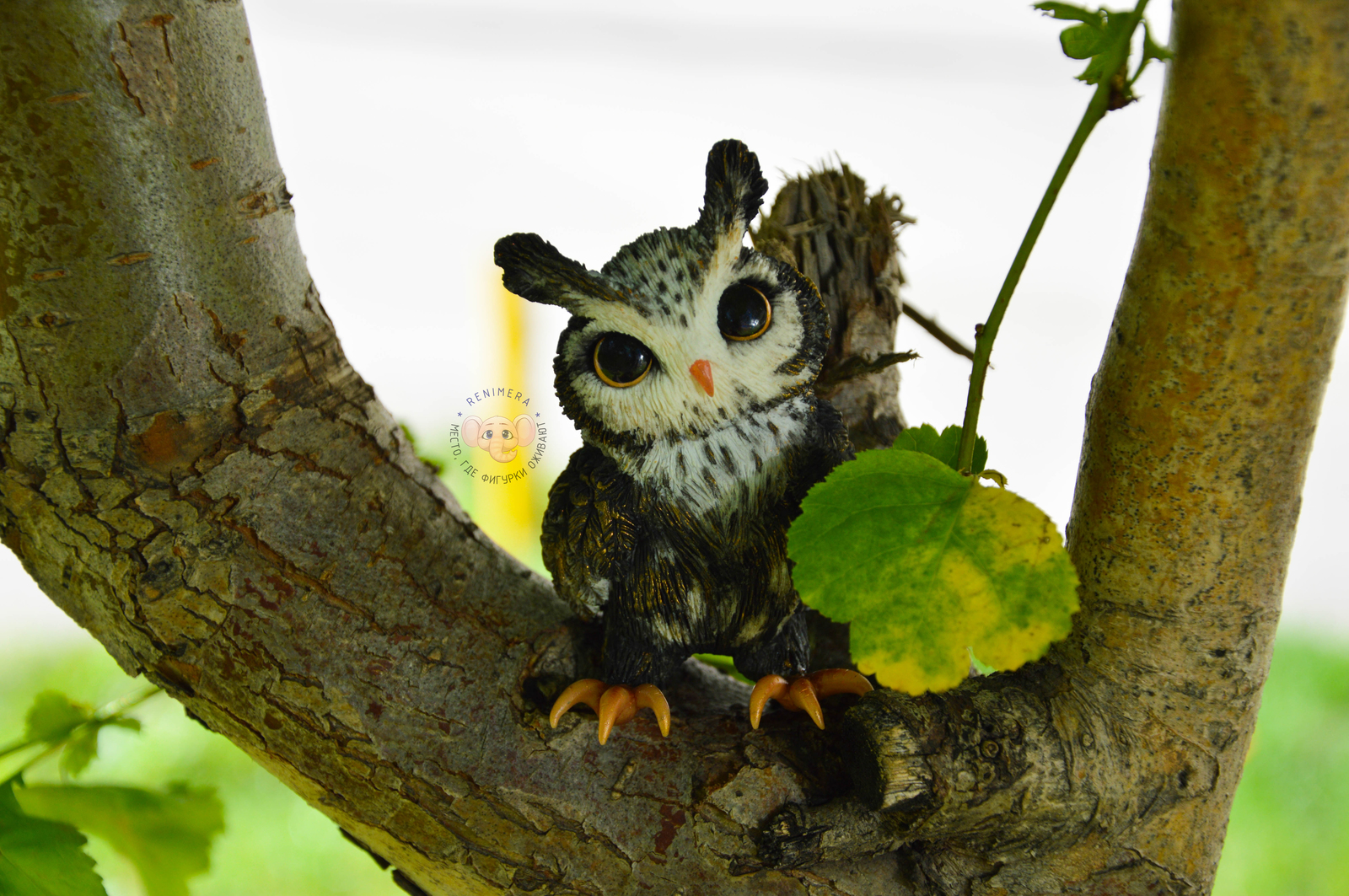 Figurine Owl made of polymer clay - My, Owl, Polymer clay, Handmade, Figurine, Needlework without process, Birds, Longpost, Figurines