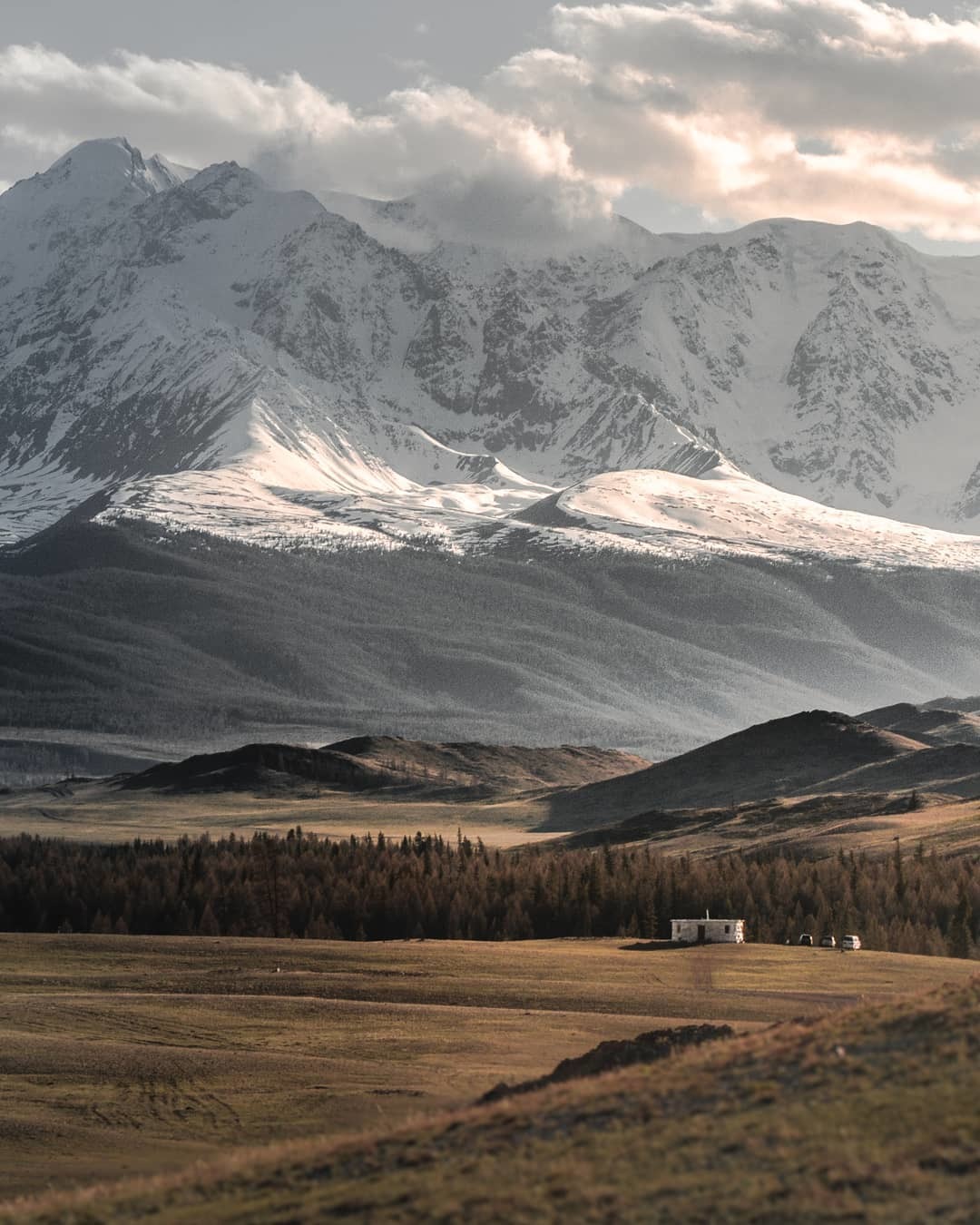 Sunset in the Kurai steppe with the majestic snowy peaks of the North Chuya Range - Altai, The mountains, Tourism, Kurai steppe, Severo-Chui Range, The photo, Nature, Altai Republic