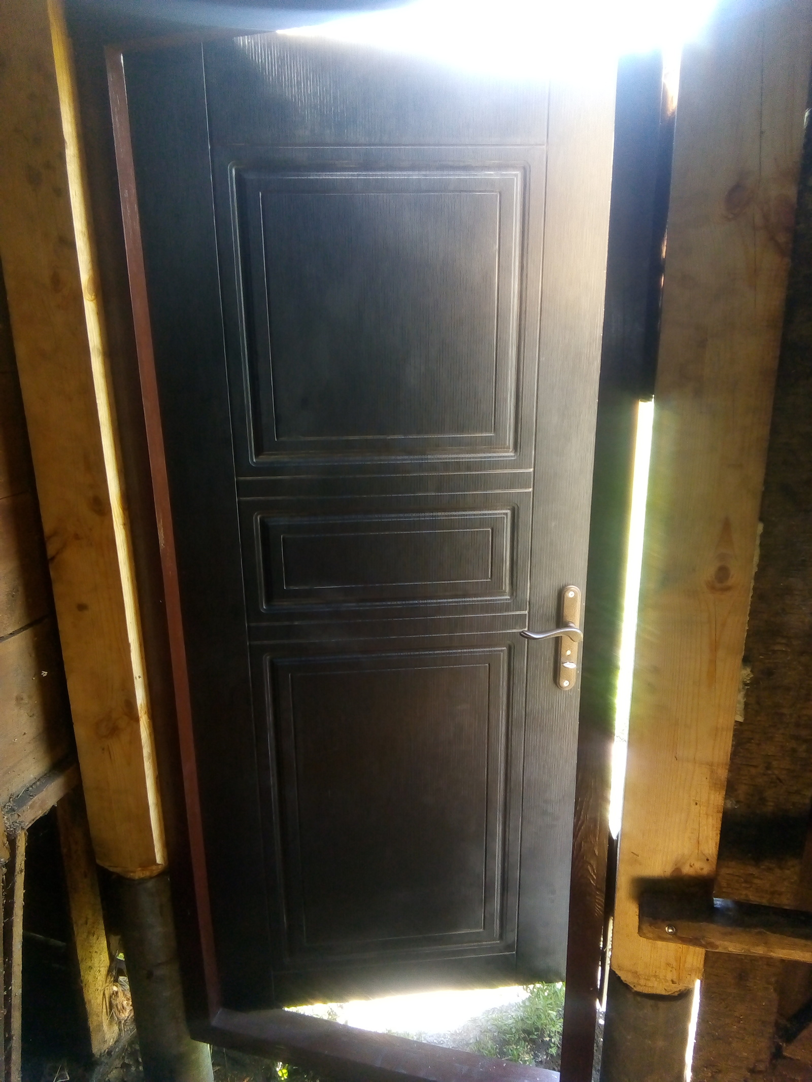 Do-it-yourself door (first experience) - My, Door, With your own hands, Carpenter, Longpost