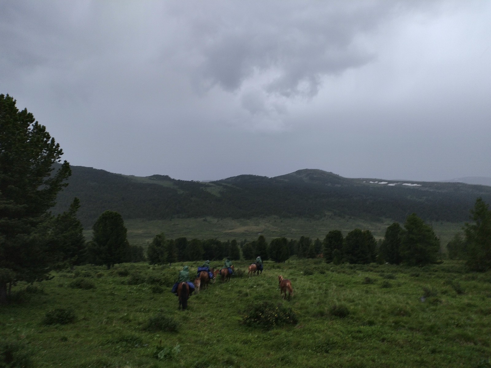 Rest in Gorny Altai. - My, Camping, Mountain Altai, Longpost, Altai Republic