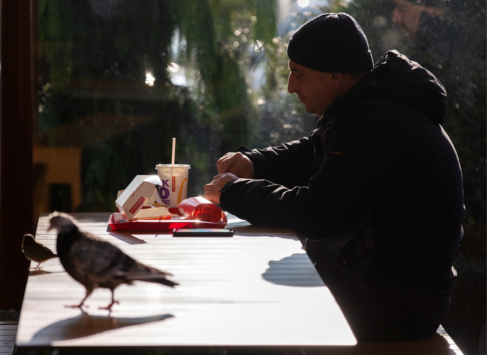 In Magadan, they will be fined for feeding pigeons - feathers and droppings interfere with the townspeople - My, Magadan, Pigeon, Feeding, Fine