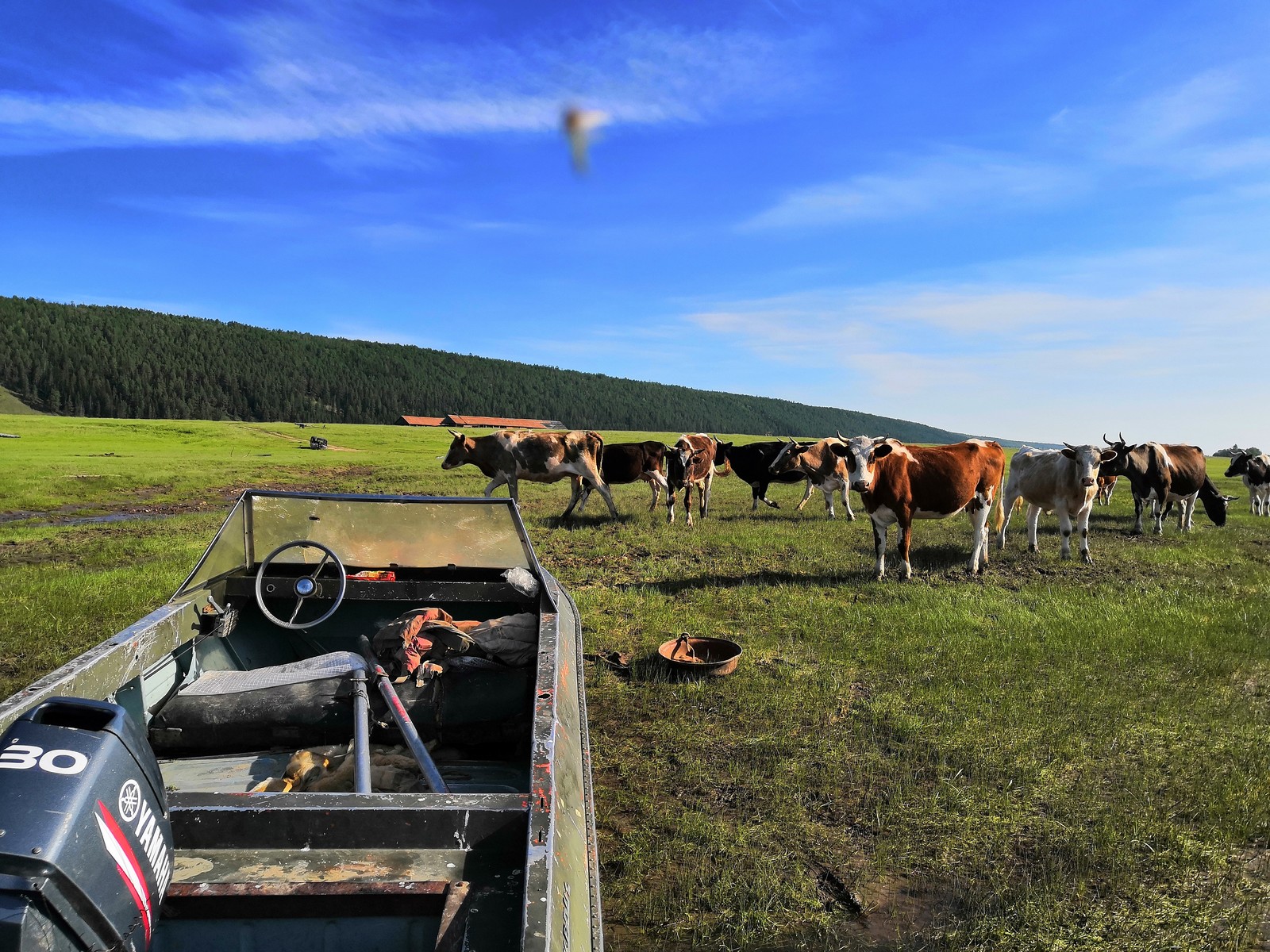 Travel back and forth. - My, Yakutia, Lena river, Fishing, Nature, beauty, Longpost, Relaxation, Video