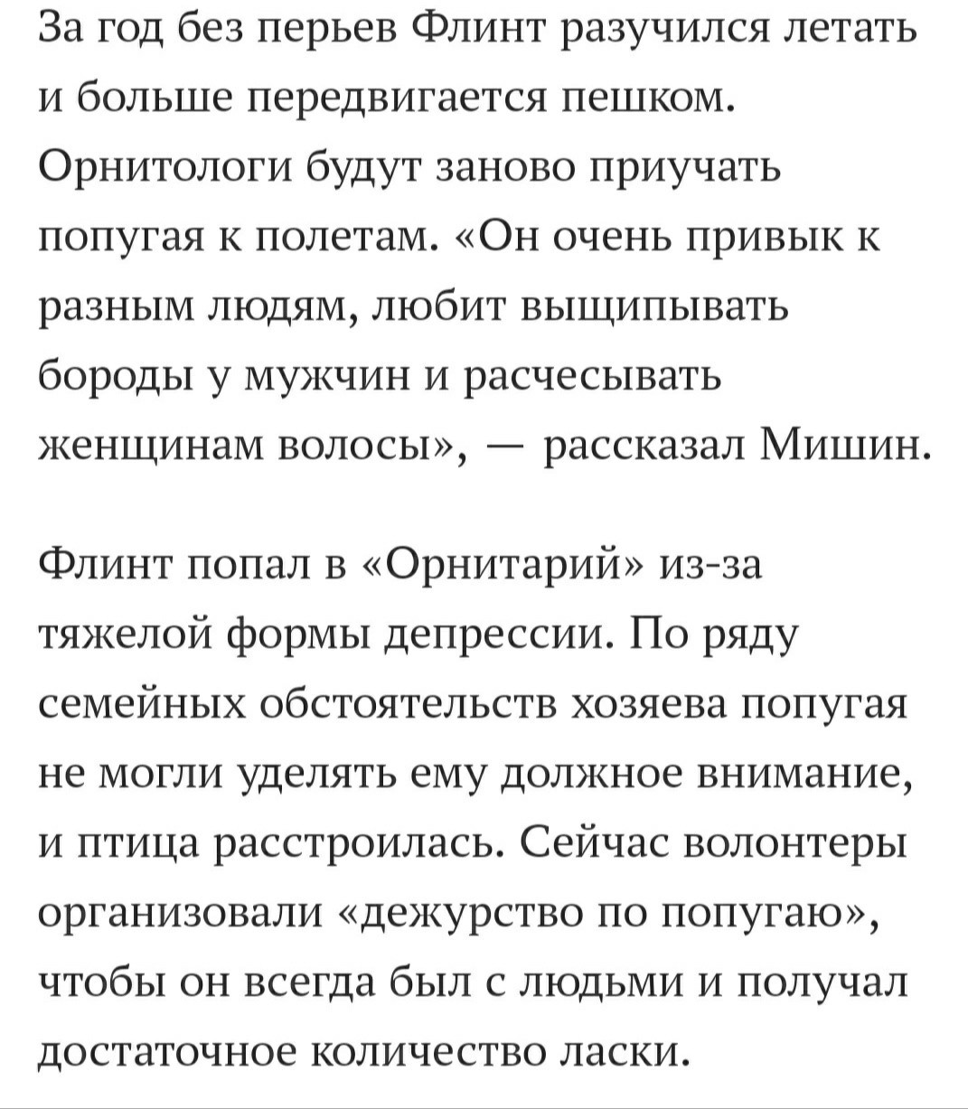 Можно и мне таблеточку?! - Попугай, Стресс, Антидепрессант, Длиннопост