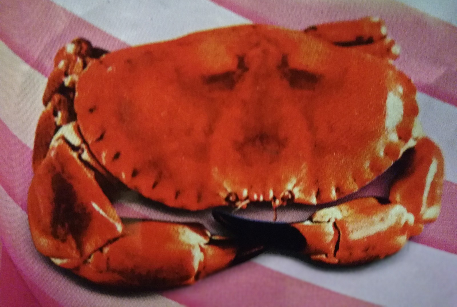 Sad crab color - Crisps, Flavoring, Products composition