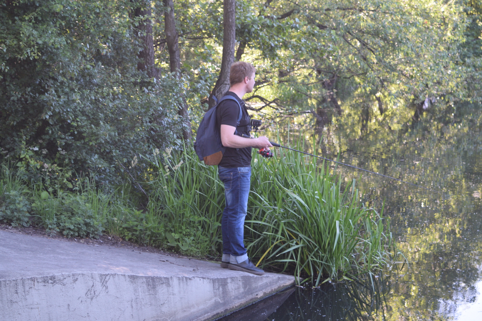 Summer fishing on the Winter Lake in Kaliningrad. - My, Fishing, Kaliningrad, Video, Perch, Longpost