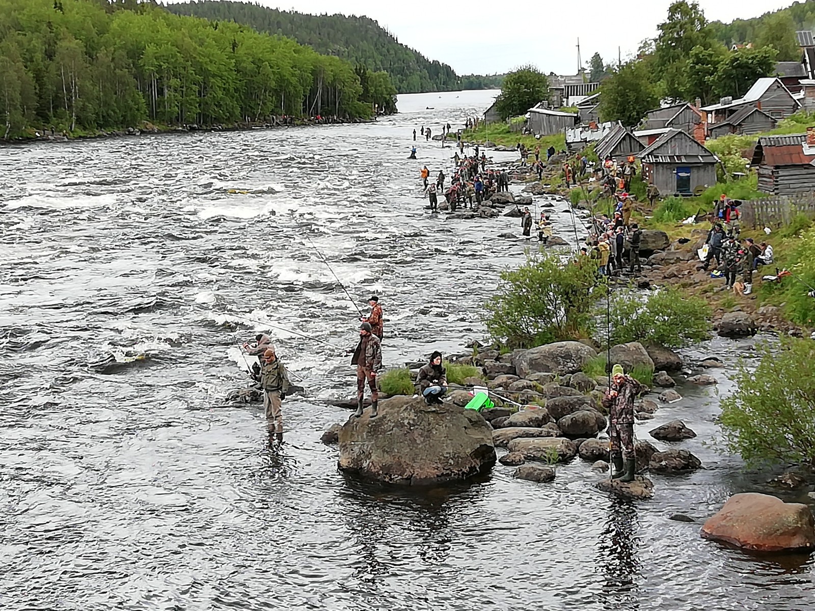 Ловля горбуши на реке Умба: способы, сезон, оборудование