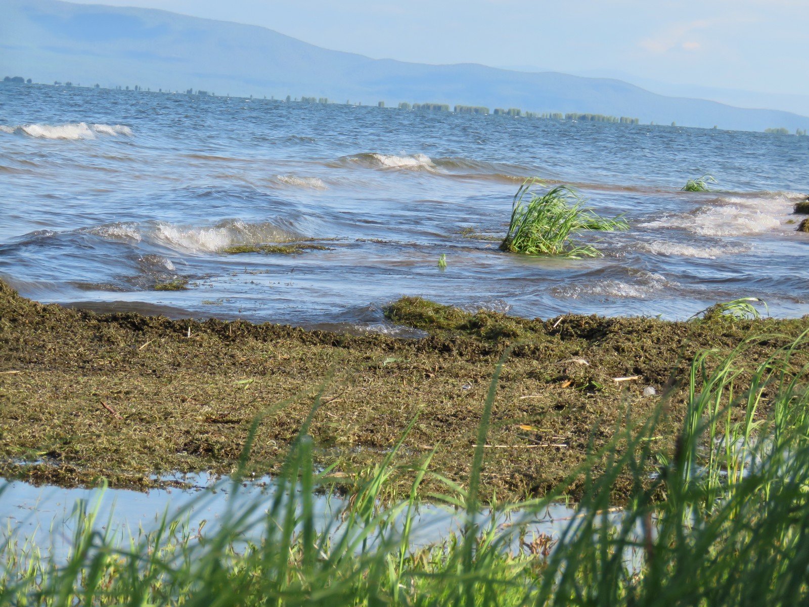 Chivyrkuisky Bay. Baikal. - My, Baikal, beauty, Longpost