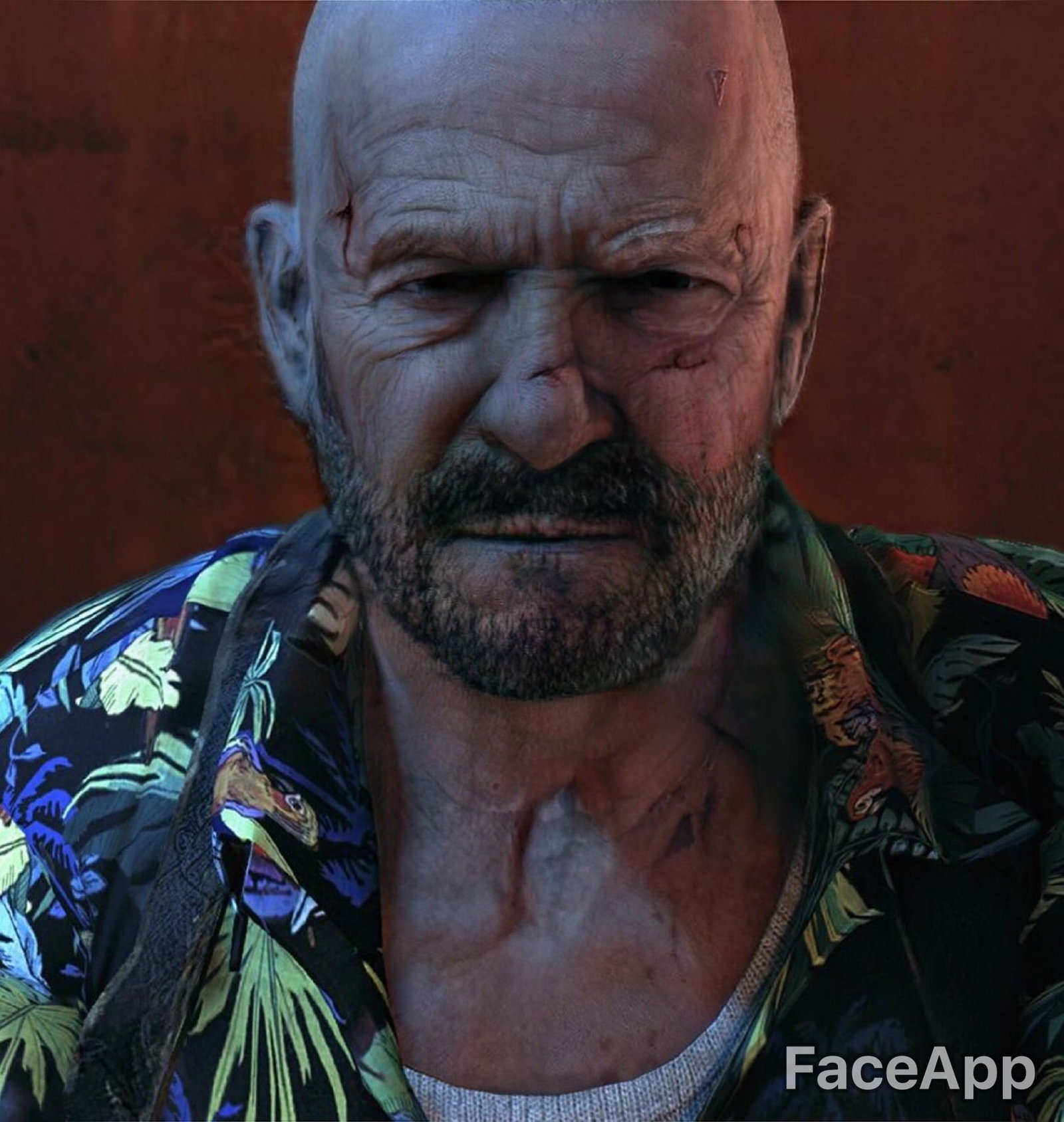 Aged video game characters - Faceapp, Old age, Computer games, Longpost, Characters (edit), Blaskowitz, , Lara Croft, Max payne, Nathan Drake