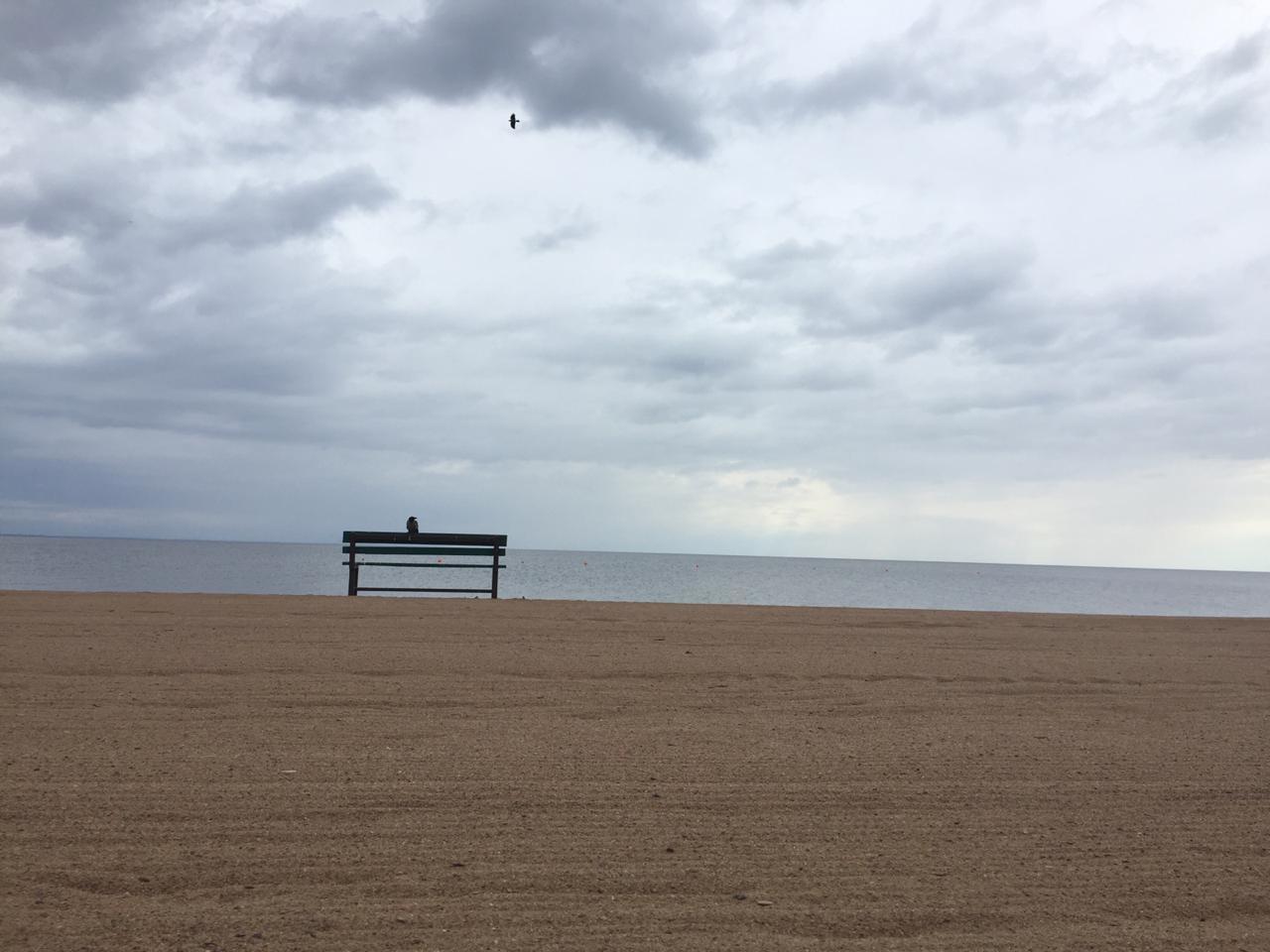 The Gulf of Finland - My, Saint Petersburg, The bay, The Gulf of Finland