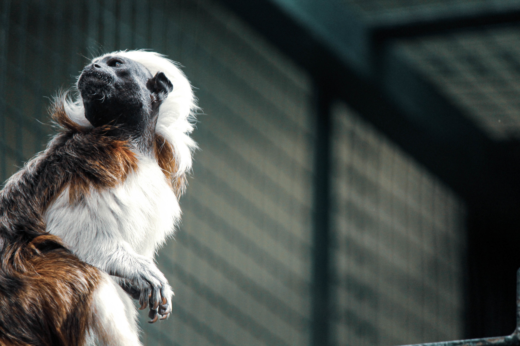 Tallinn Zoo - Моё, Зоопарк, Таллиннский зоопарк, Фотография, Длиннопост