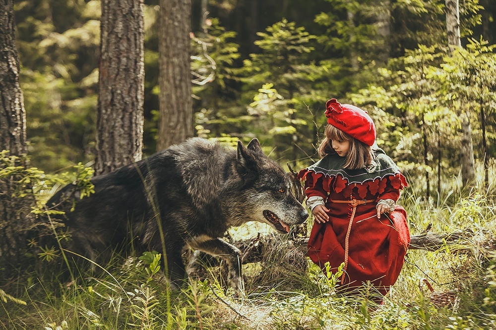 Новые краски в старой истории - Красная шапочка, Фотосессия, Косплей, Подборка, Вольфхунд, Собаки и люди, Длиннопост