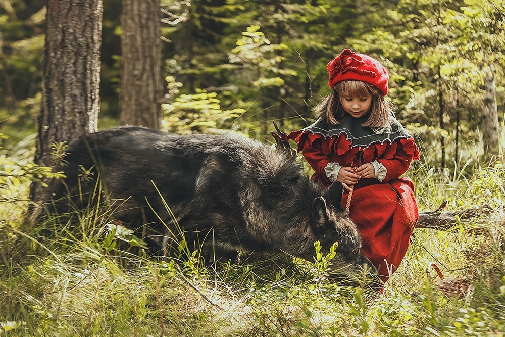 Новые краски в старой истории - Красная шапочка, Фотосессия, Косплей, Подборка, Вольфхунд, Собаки и люди, Длиннопост