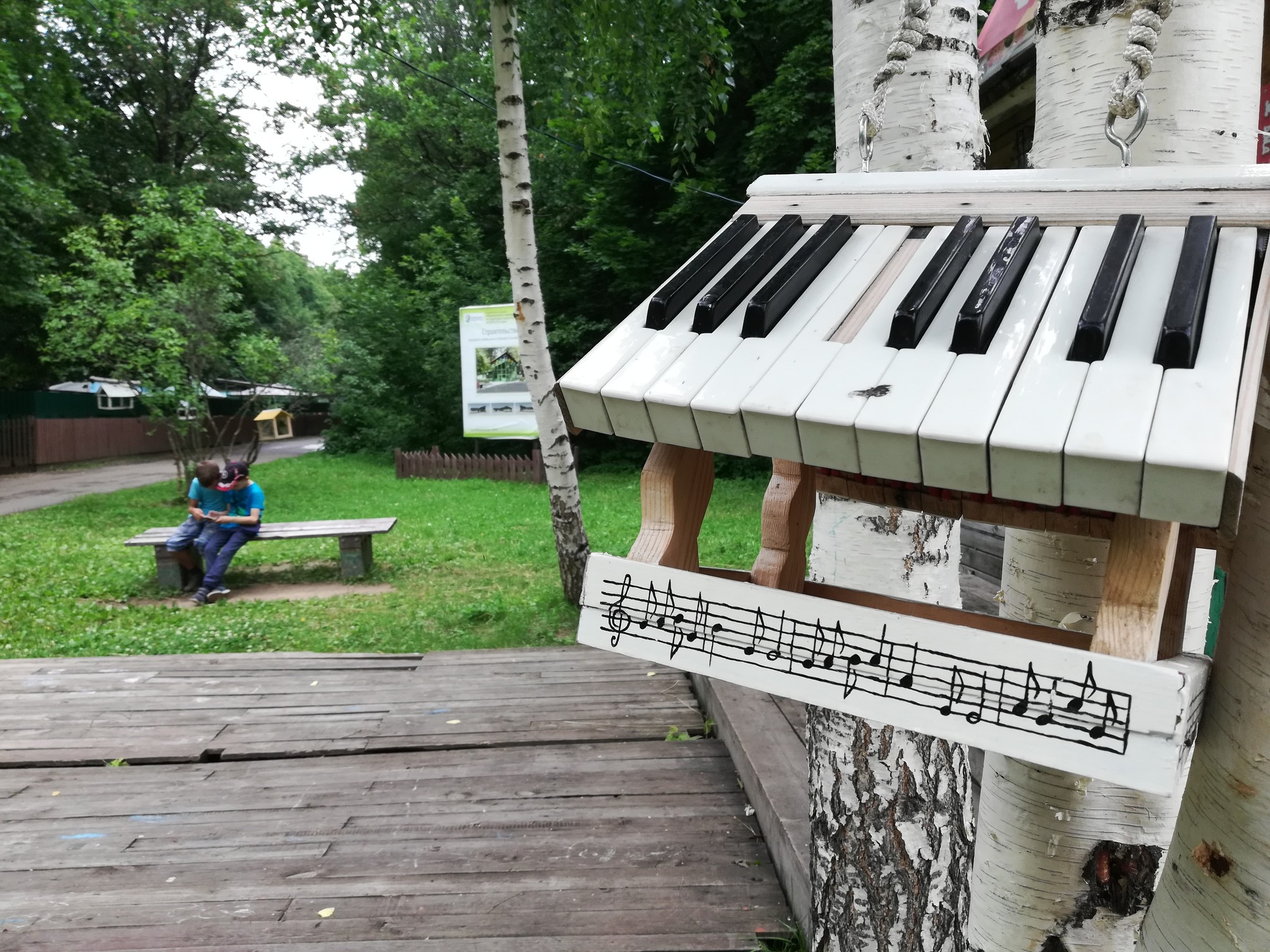 When dad works at a music school - My, Birds, Nature, Dad can, Music, Father