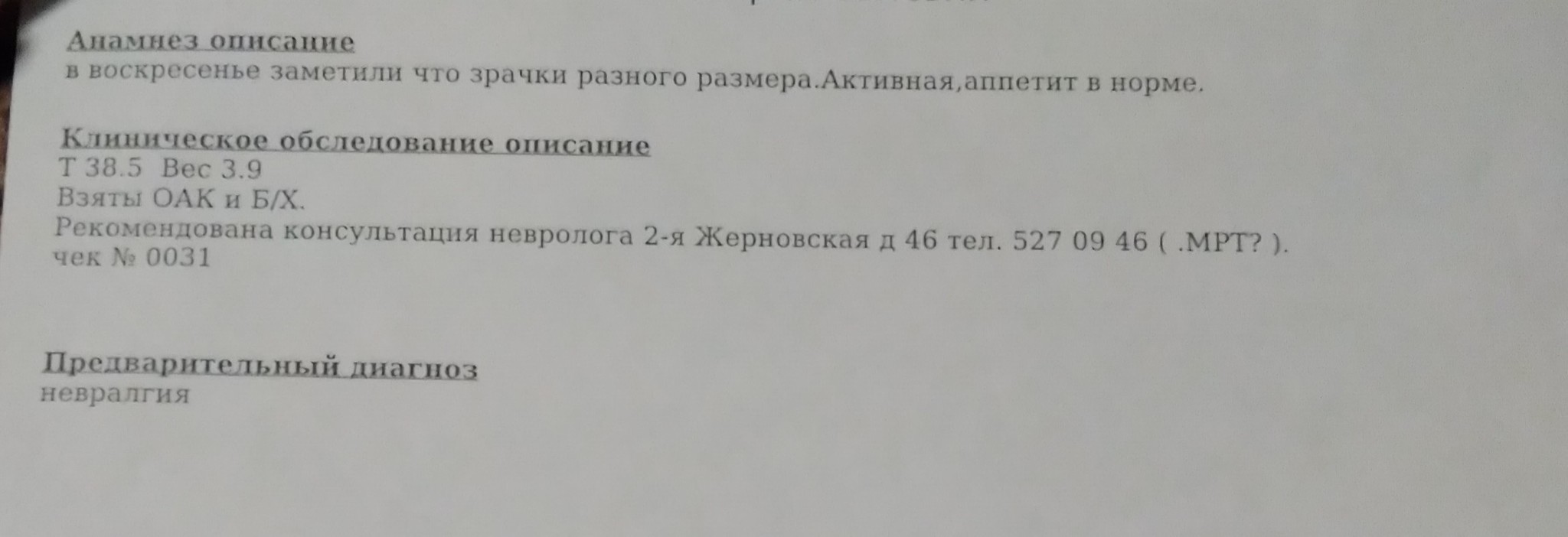 Кошачий невролог - Моё, Без рейтинга, Кот, Ветеринария, Длиннопост