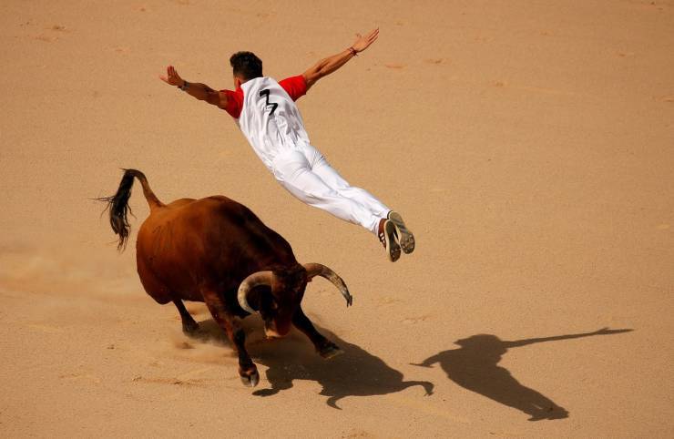 Better than bullfight - Bullfight, The photo, Bull