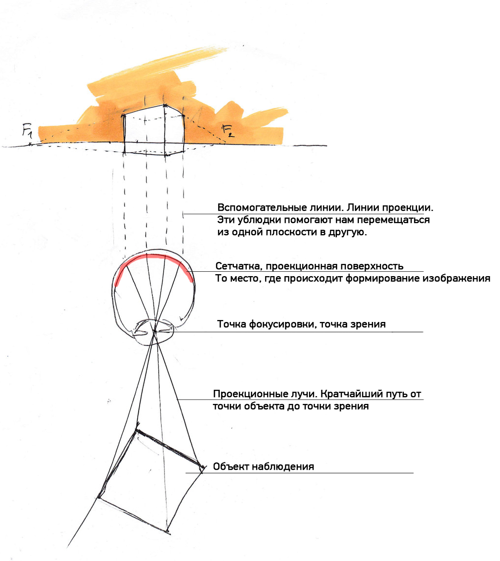 Why do we see the future? How to learn to draw? - My, Curved Line, Drawing lessons, Painting, Longpost