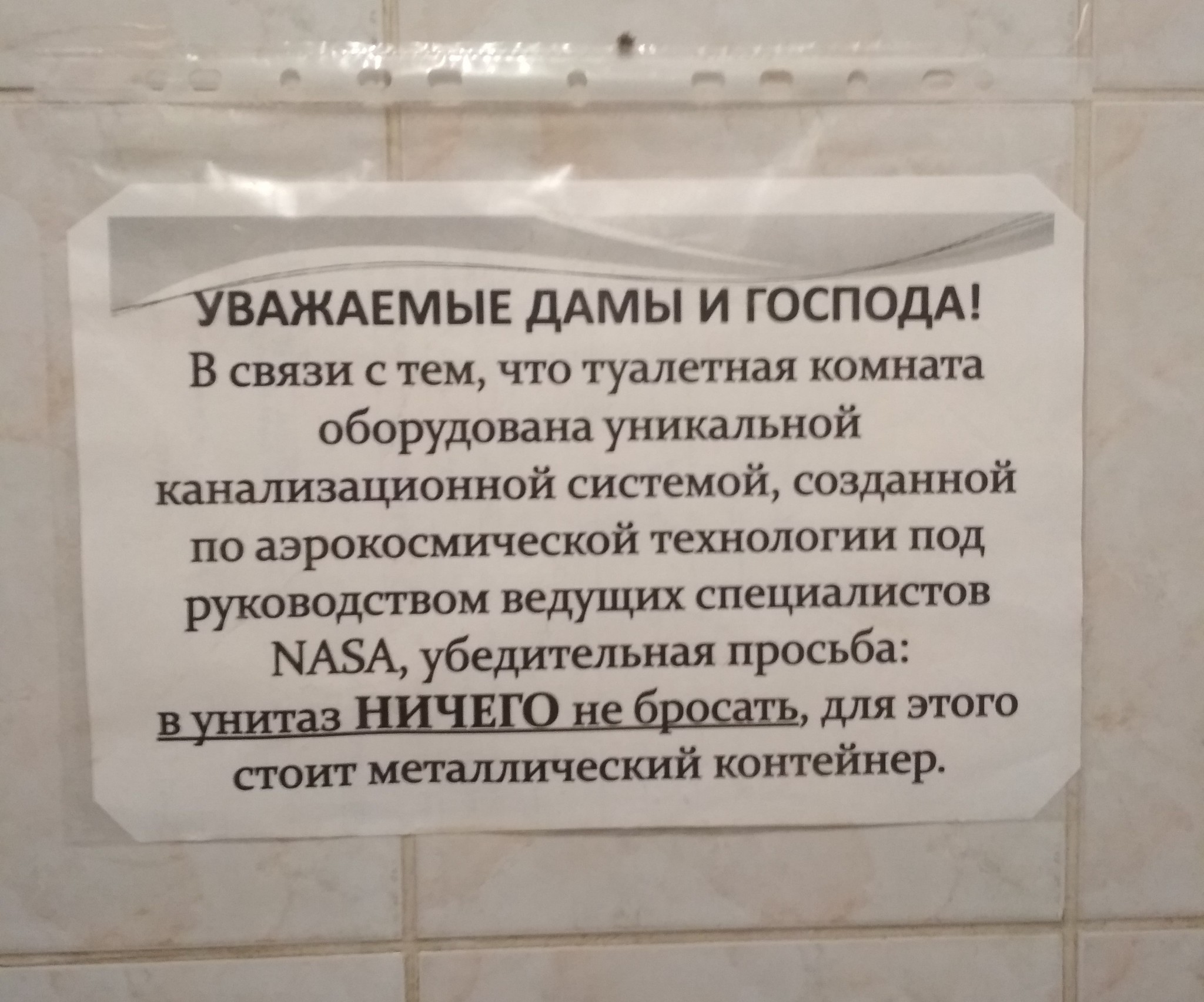 Туалетный юмор. Сортирные шутки. Объявление в туалете дорогие дамы. Сортирный юмор анекдоты.