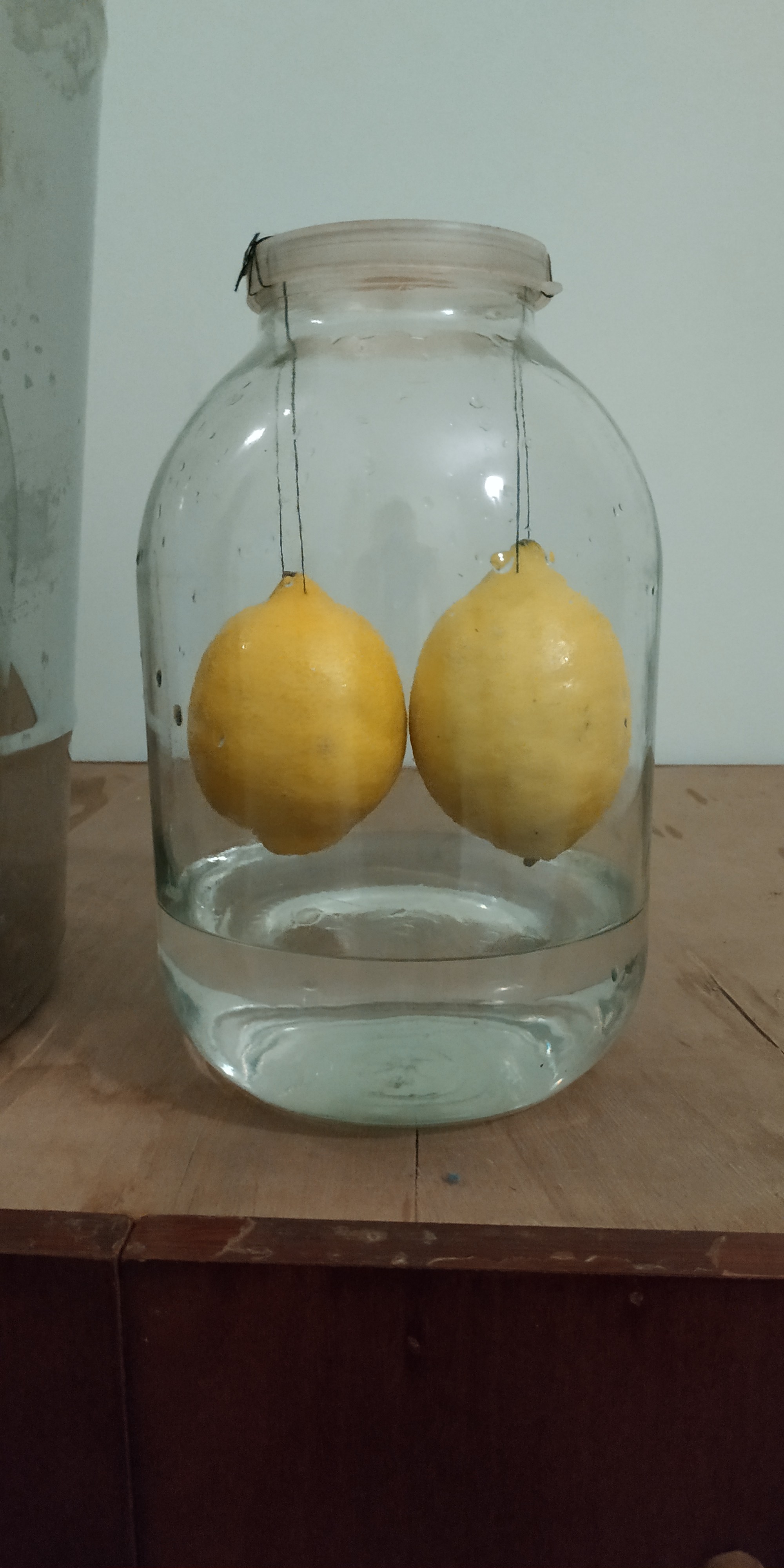 Limoncello on a lemon hanger - My, Limoncello, Recipe, Longpost, Liquor, Alcohol