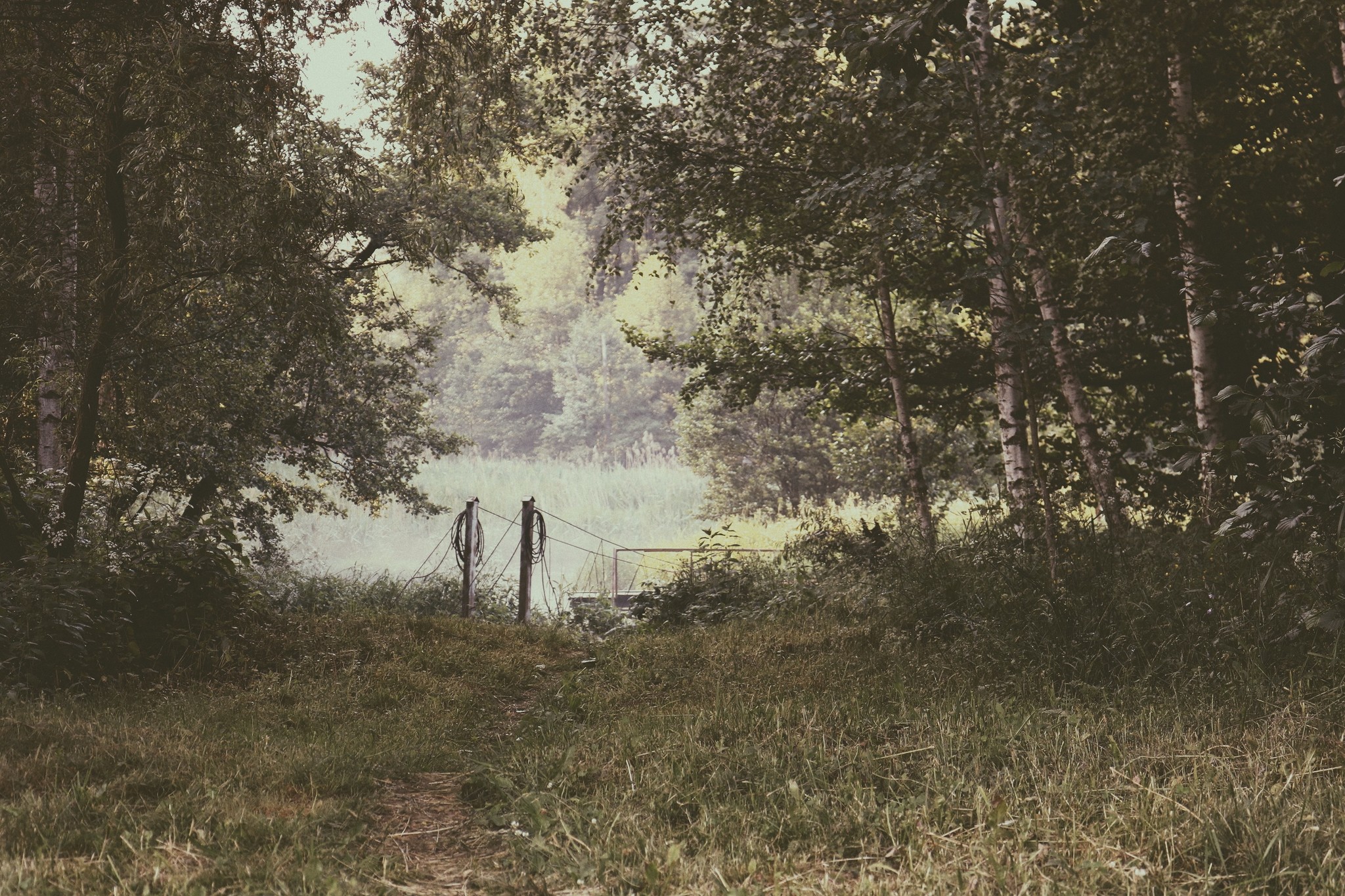 Там ,где тишина - Моё, Начинающий фотограф, Природа, Республика Беларусь, Лес, Река, Вечер, Длиннопост