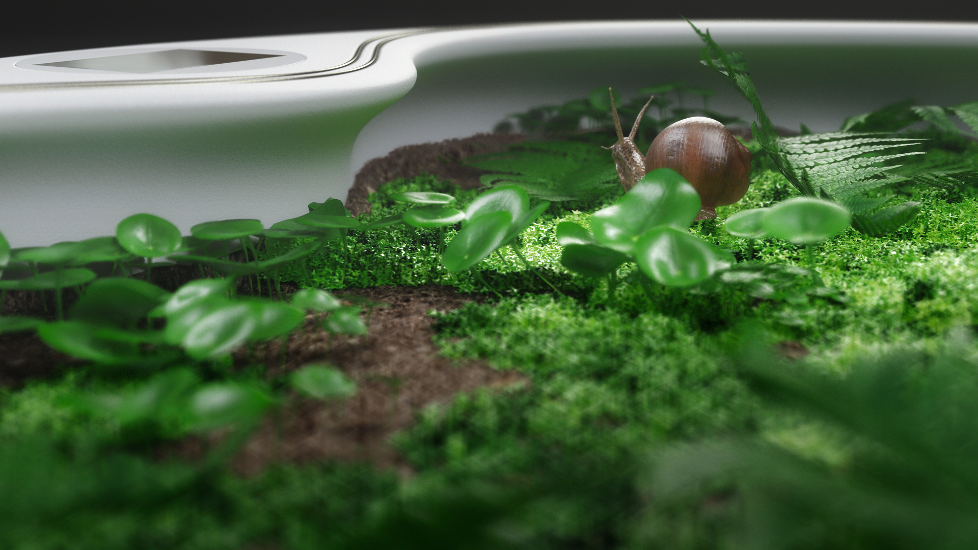 Snail Alcatraz - My, Tabula Sense, Snail, Terrarium, Concept, Design, Achatina, Grape snail, Industrial Design, Longpost