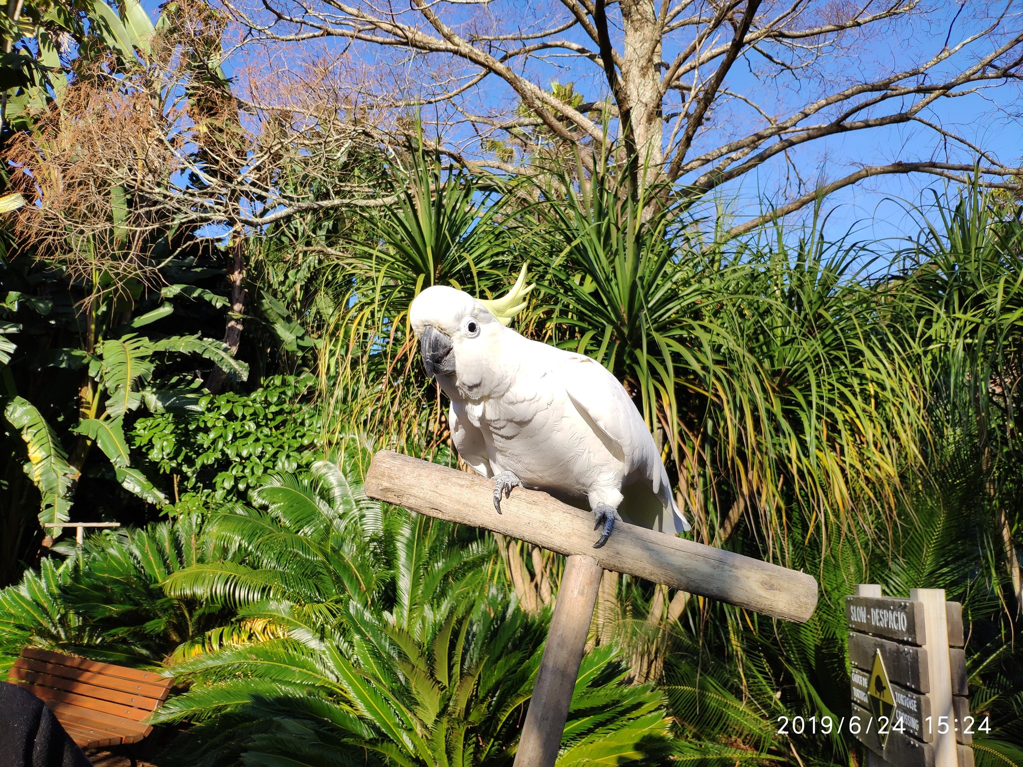 Auckland Zoo. - My, New Zealand, Zoo, Nature, Walk, Longpost