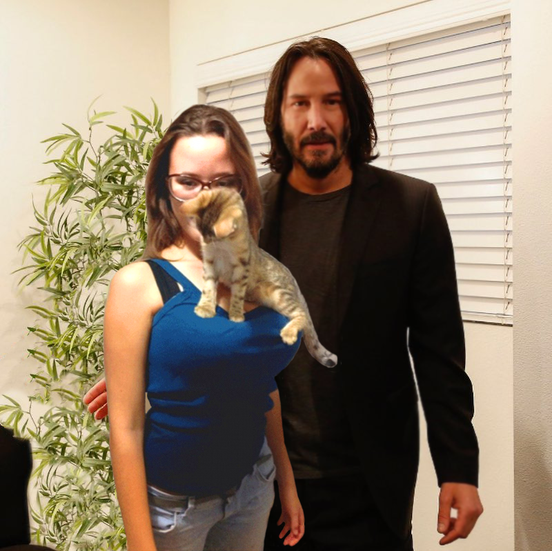 Internet in one picture. - Keanu Reeves, Girls, cat