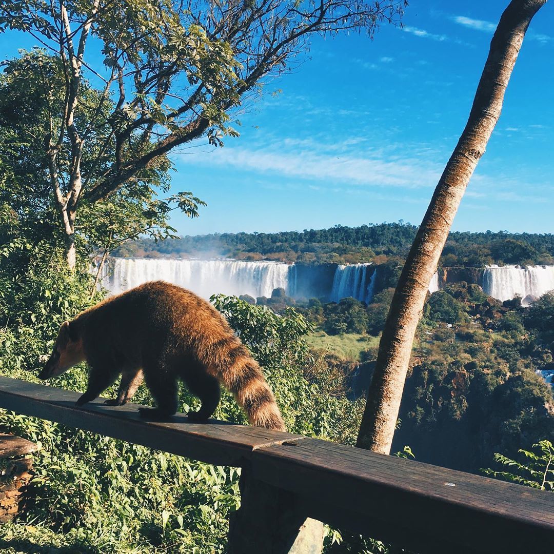 My Brazilian life. - My, Brazil, Latin America, Living abroad, Longpost