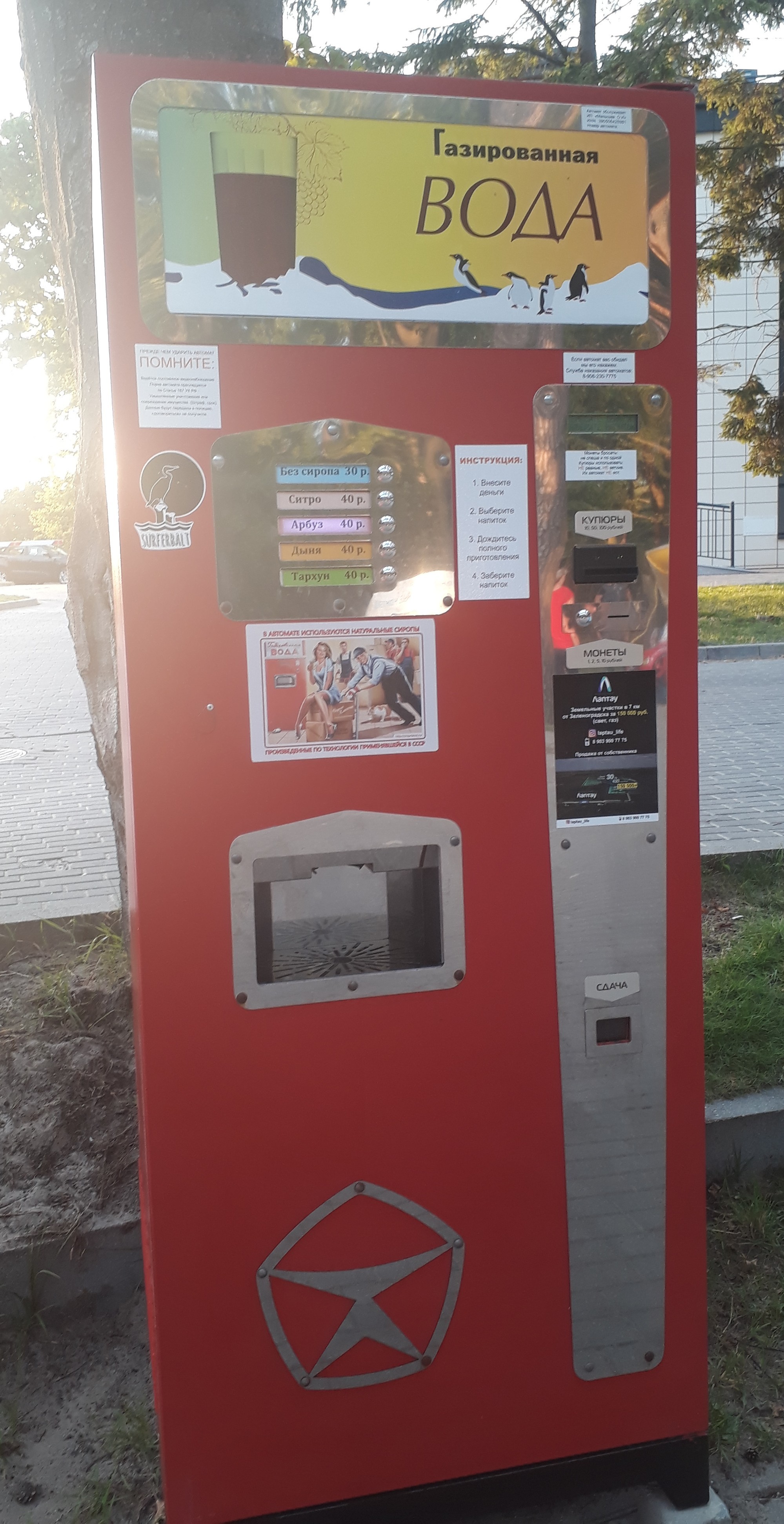 Funny instructions on the soda machine - My, Soda machine, Vending machine, Instructions, Svetlogorsk, Longpost