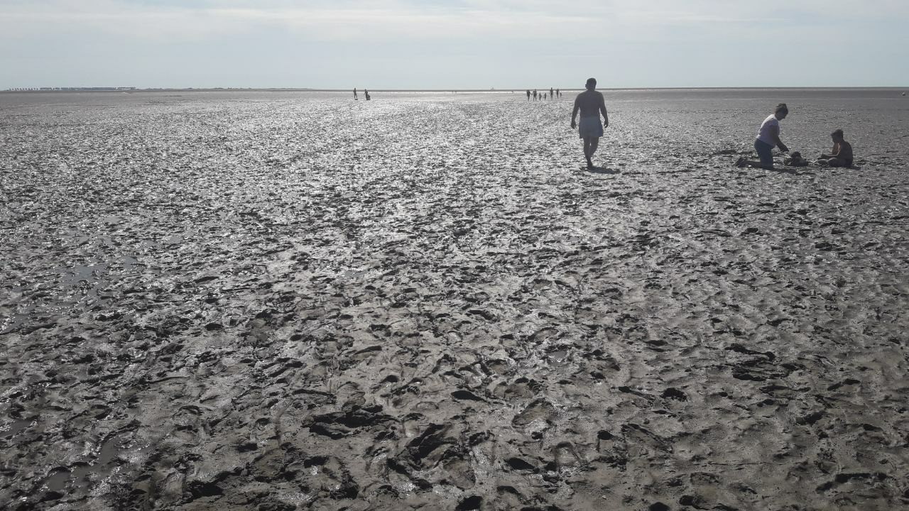 This is the North Sea in the area of ????Meldorf .... - My, Germany, North Sea, , Video, Longpost