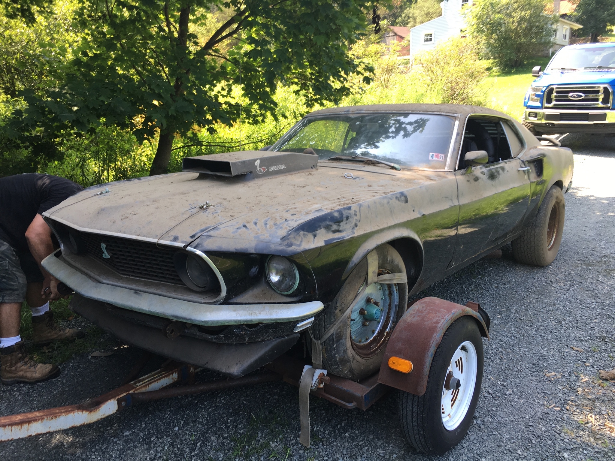 Гаражная находка 1969 Ford mustang - Imgur, Ford Mustang, Fastback, 1969, Длиннопост, Авто