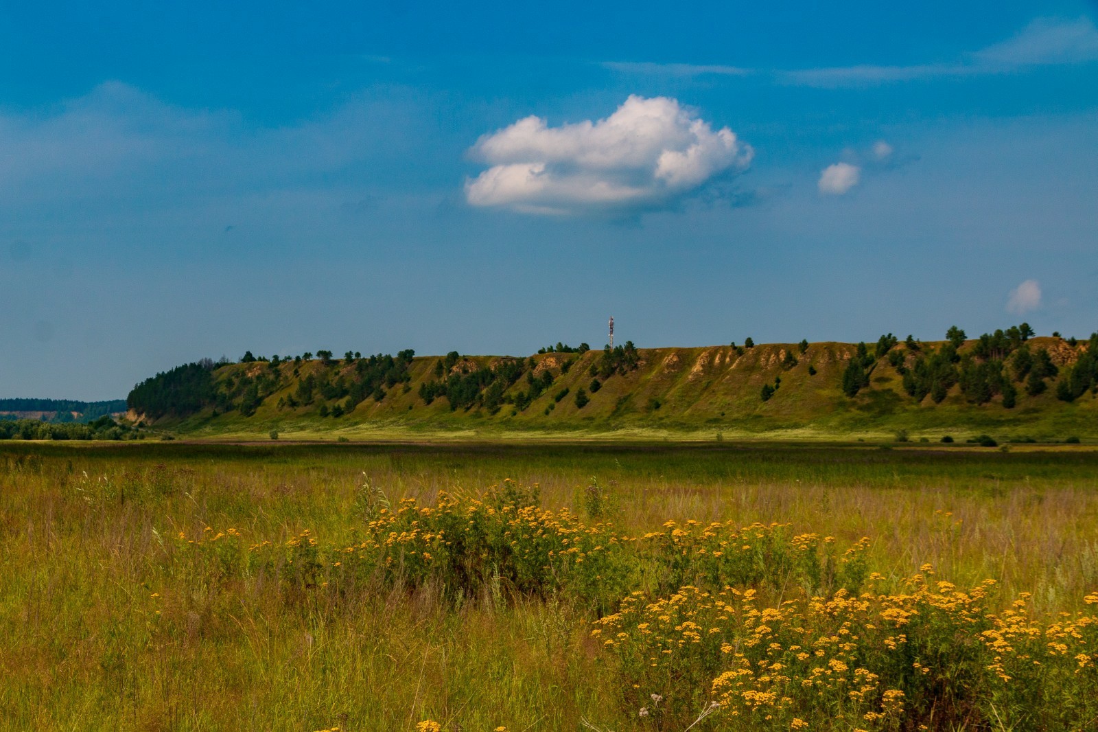 Colors of outgoing July. - My, Beginning photographer, I want criticism, Abalak, Landscape, Nature, Longpost