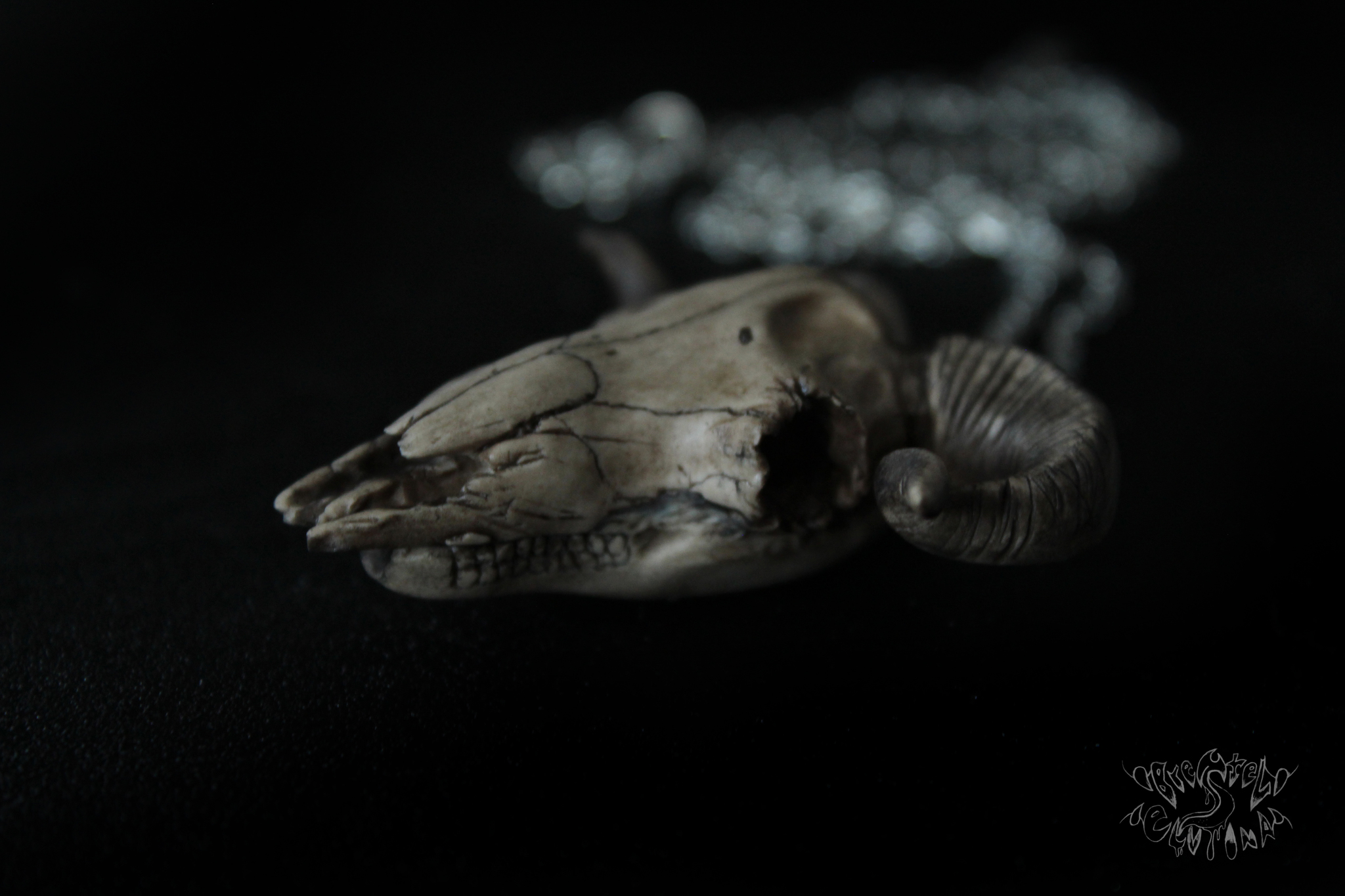 Sheep skull made of polymer clay - My, Polymer clay, , Scull, Needlework without process, Longpost