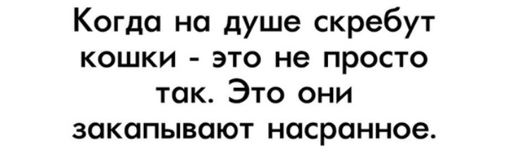 Как- то так 419... - Исследователи форумов, Подборка, ВКонтакте, Обо всем, Скриншот, Как-То так, Staruxa111, Длиннопост