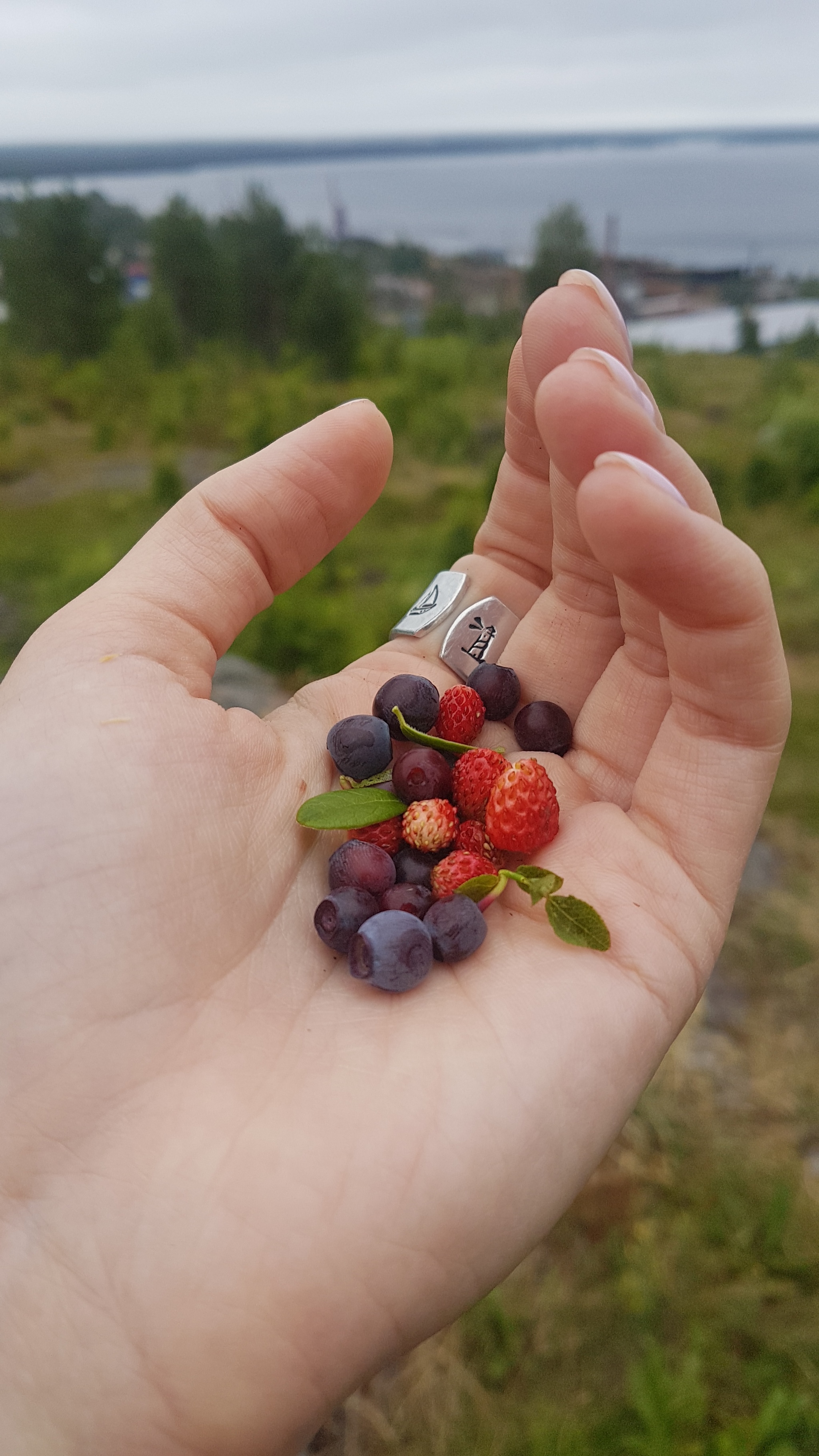 Karelia. - My, Карелия, Tourism, Travels, North, Longpost