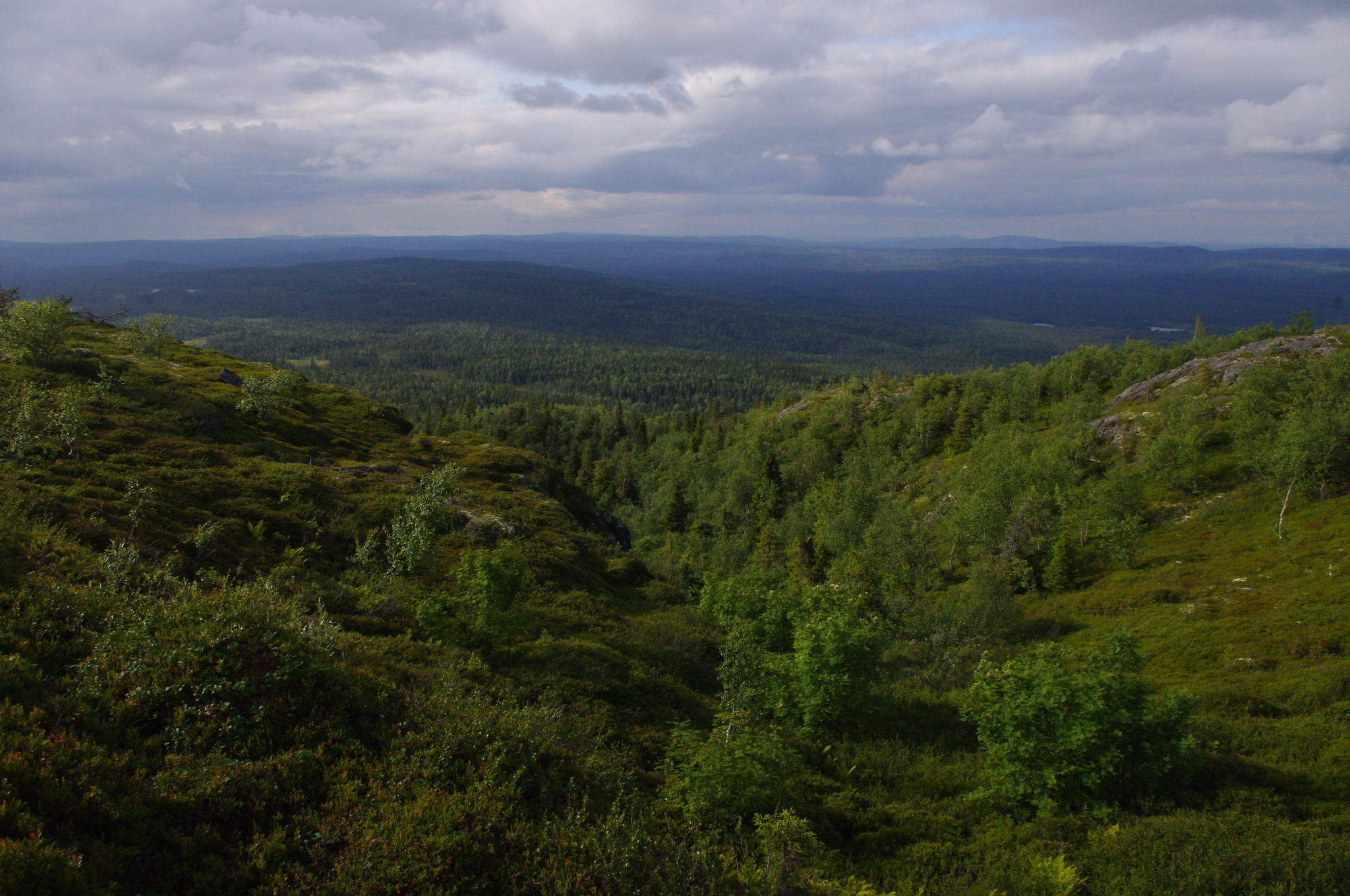 Karelia. - My, Карелия, Tourism, Travels, North, Longpost