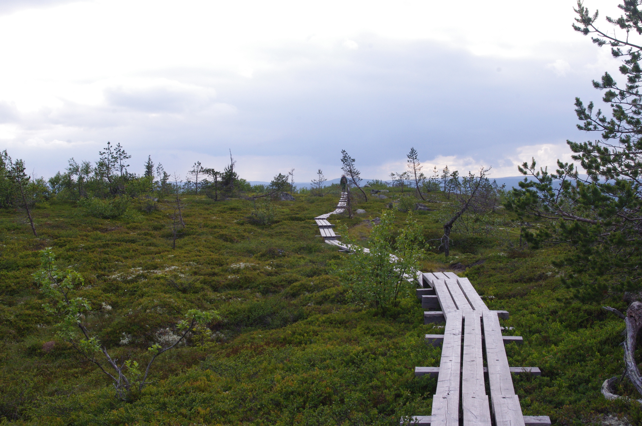 Karelia. - My, Карелия, Tourism, Travels, North, Longpost