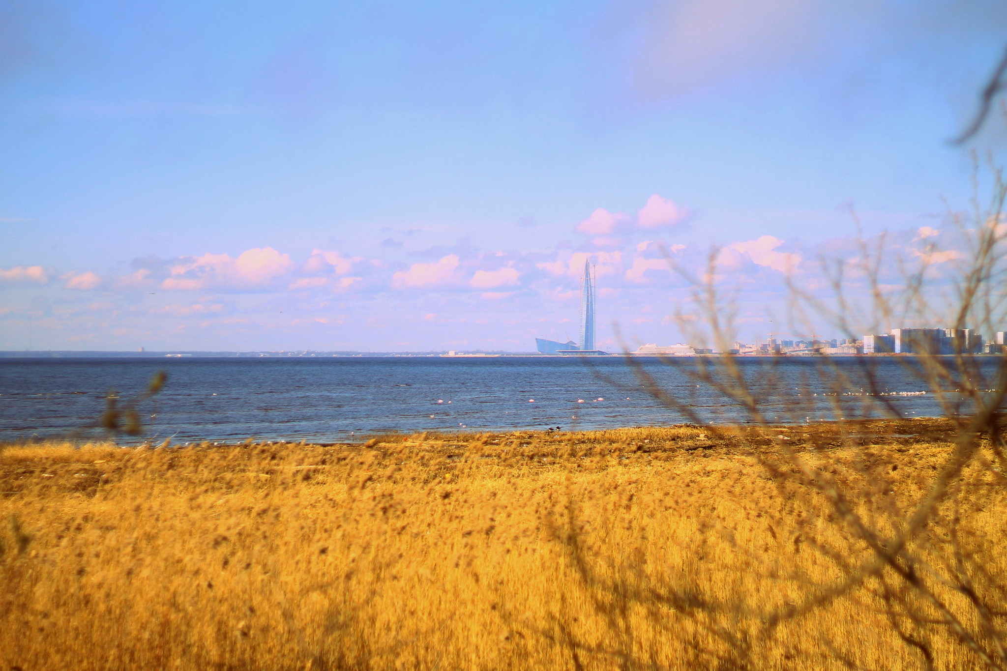 Gunboat - My, Saint Petersburg, Kanonersky Island, The photo, Fuck aesthetics, Longpost