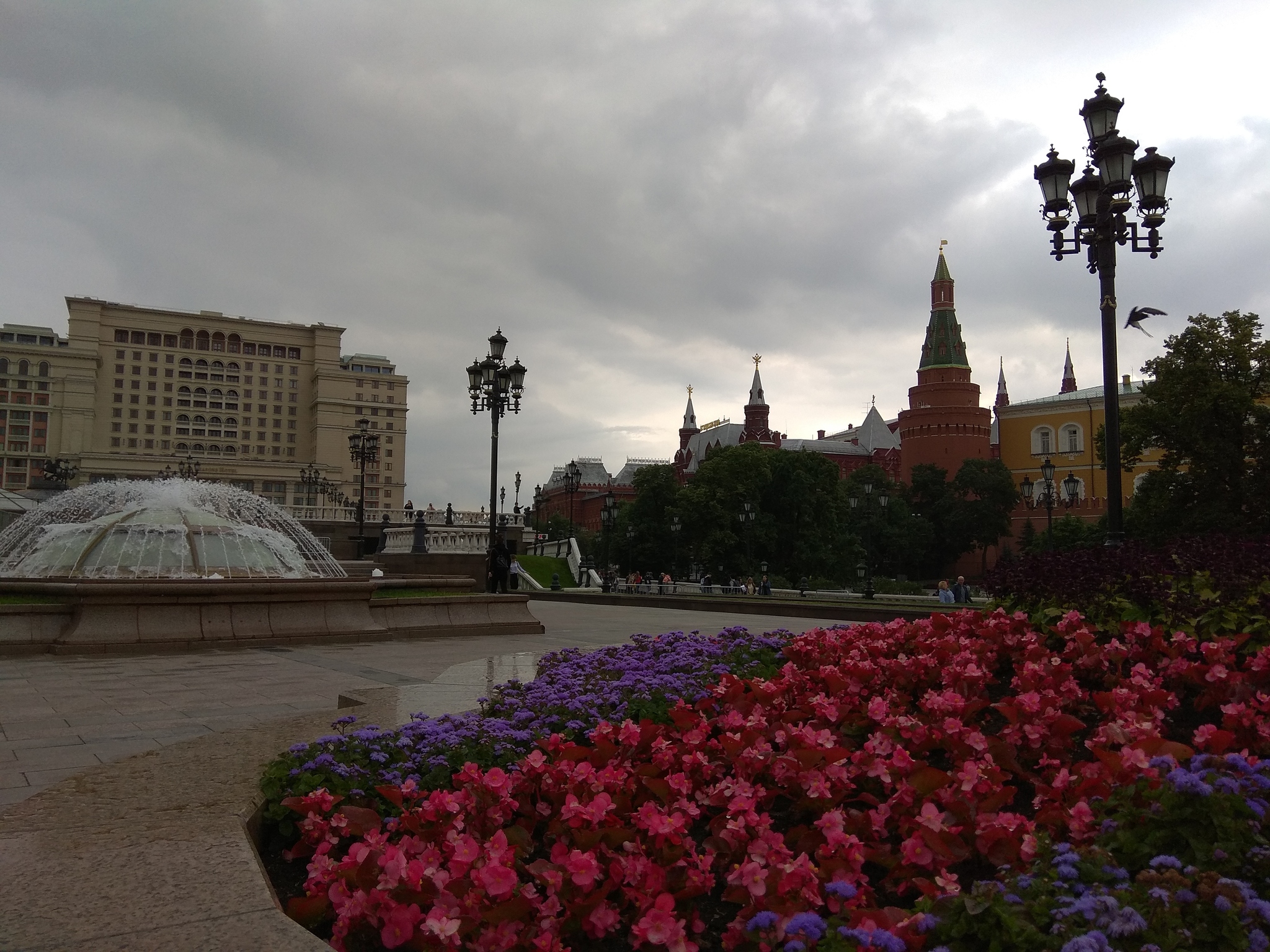 Moscow, flowers - My, Moscow, Flowers, Summer, The photo, Longpost