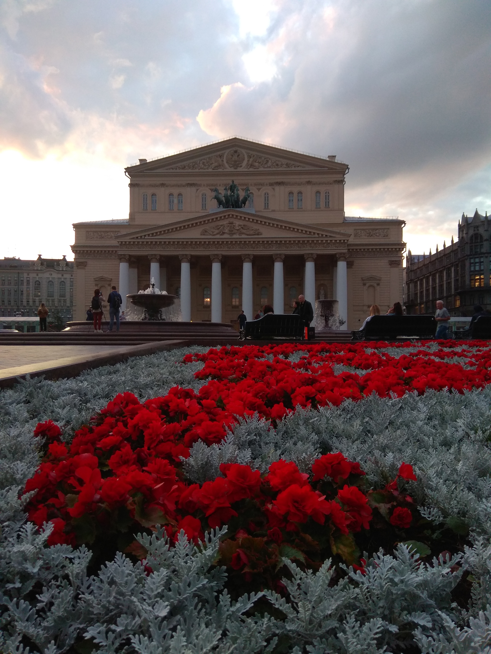 Moscow, flowers - My, Moscow, Flowers, Summer, The photo, Longpost