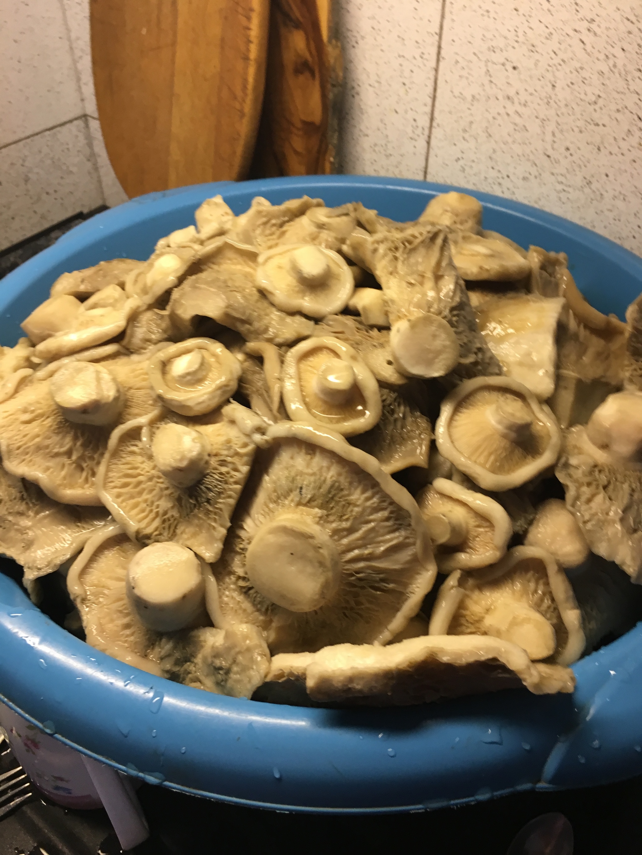 Salty mushrooms. - My, Mushrooms, Recipe, Rural life, Pickles, Lactarius, Blanks, Food, Longpost, Cooking