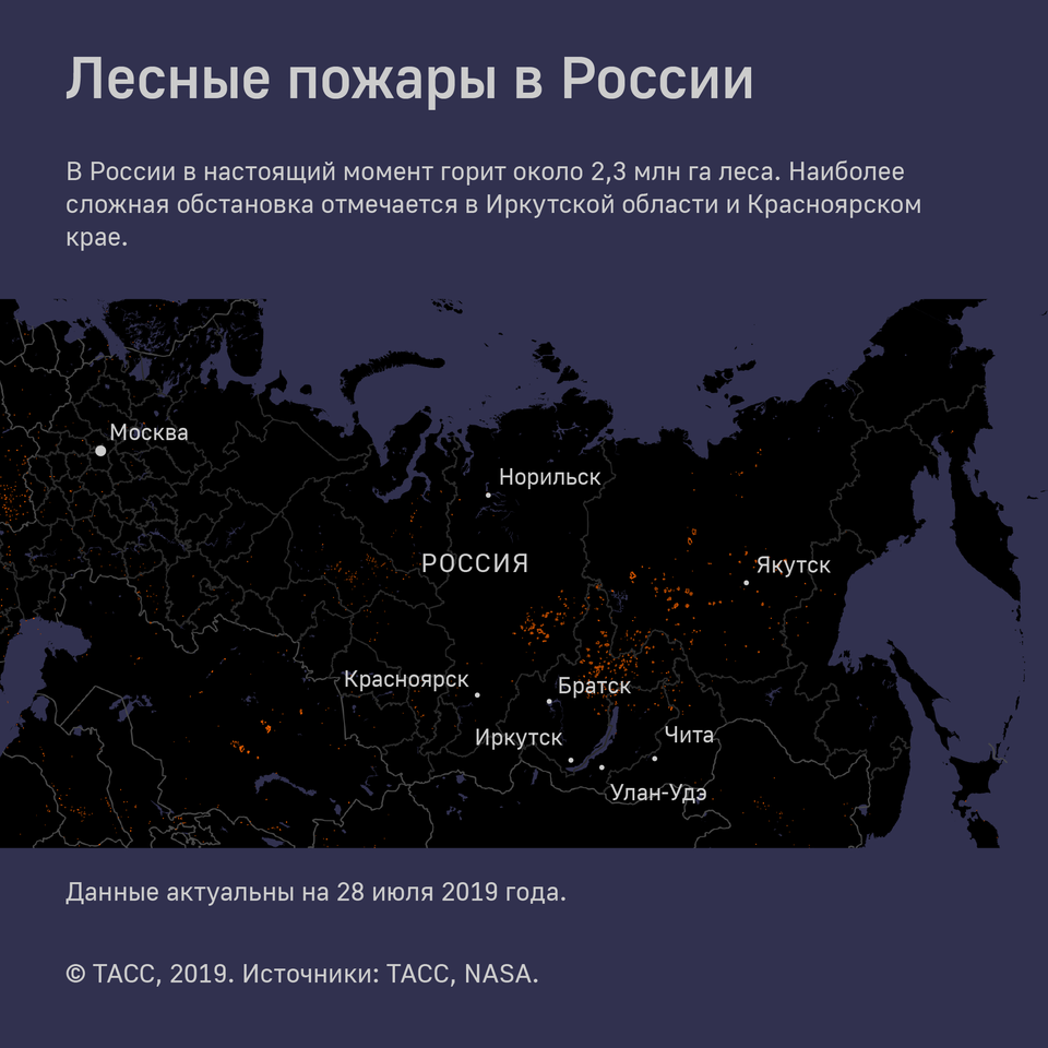 Forests that died from fires in Siberia will be restored in about 100 years - My, Forest, Forest fires, Fire, Siberia, Дальний Восток, Nature, Tree, Longpost