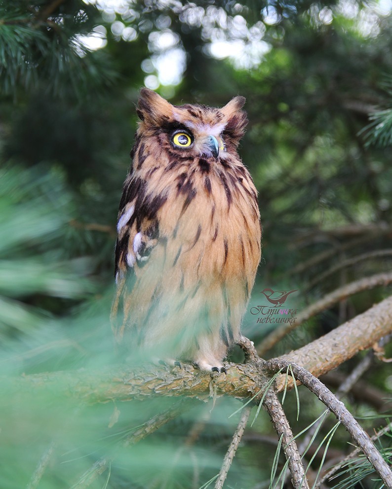 Fish owl. From wool. Wallow. Handmade. - My, Needlework without process, Dry felting, Creation, Needlework, Toys, Handmade, Birds, Longpost