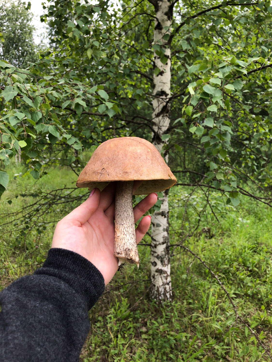 Ах, деревенька, родная.. - Моё, Деревня, Природа, Длиннопост