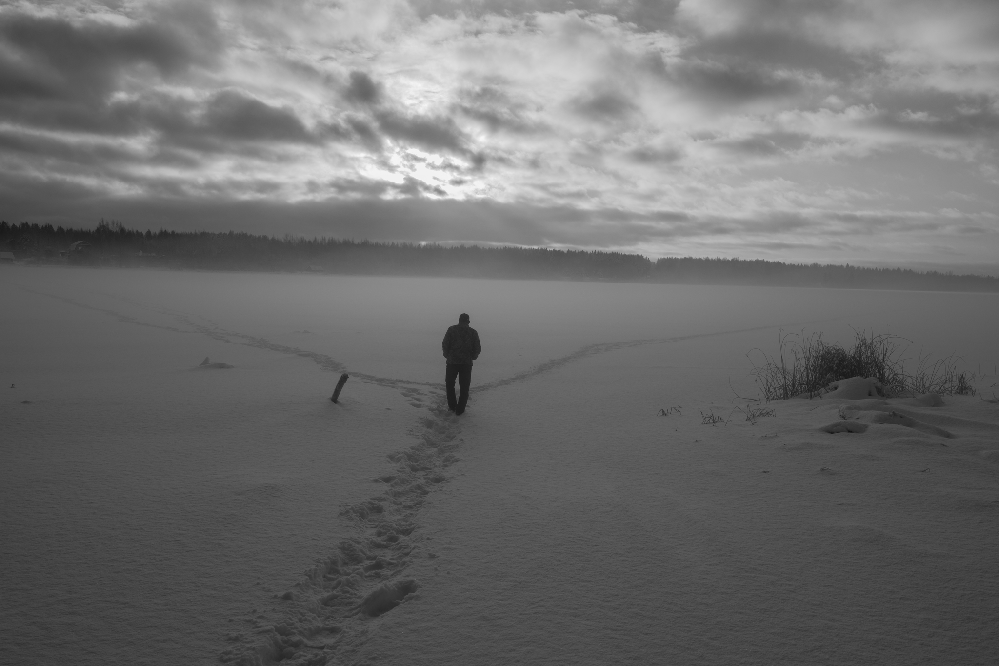 Landscape Choice - My, Beginning photographer, Winter