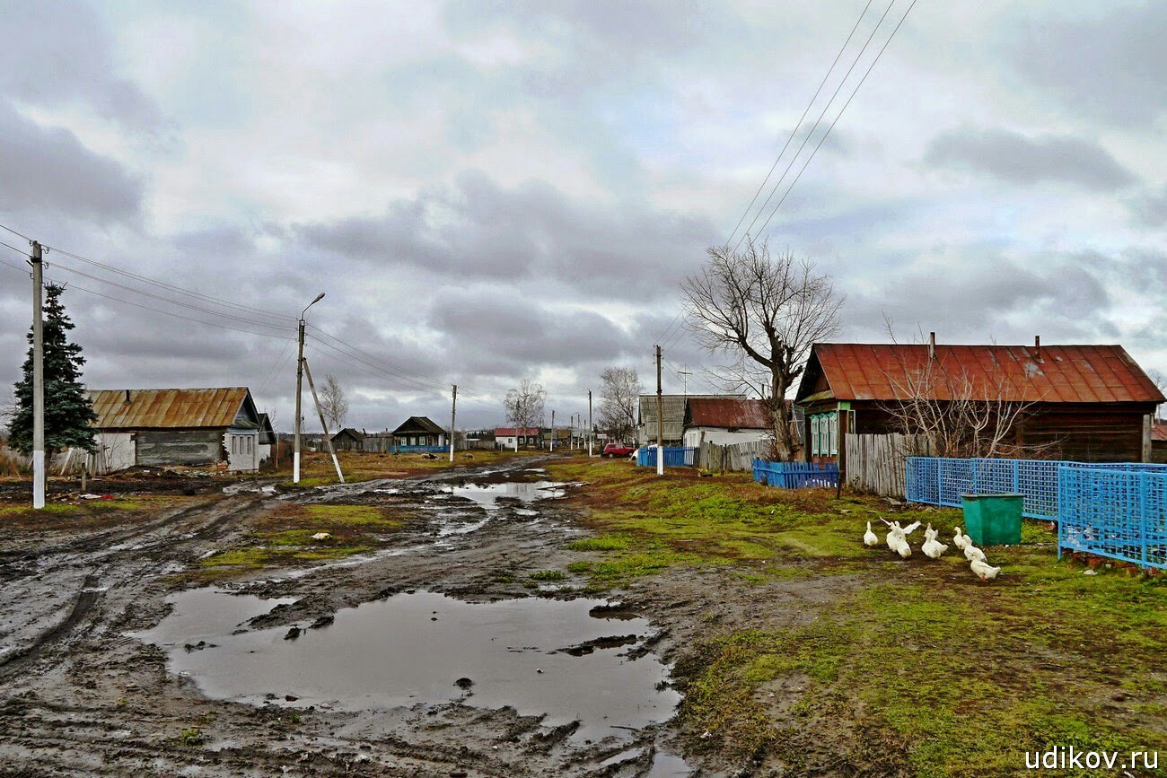 Country life. - Russia, The photo, Village, A life, Everyday life, Routine, Longpost