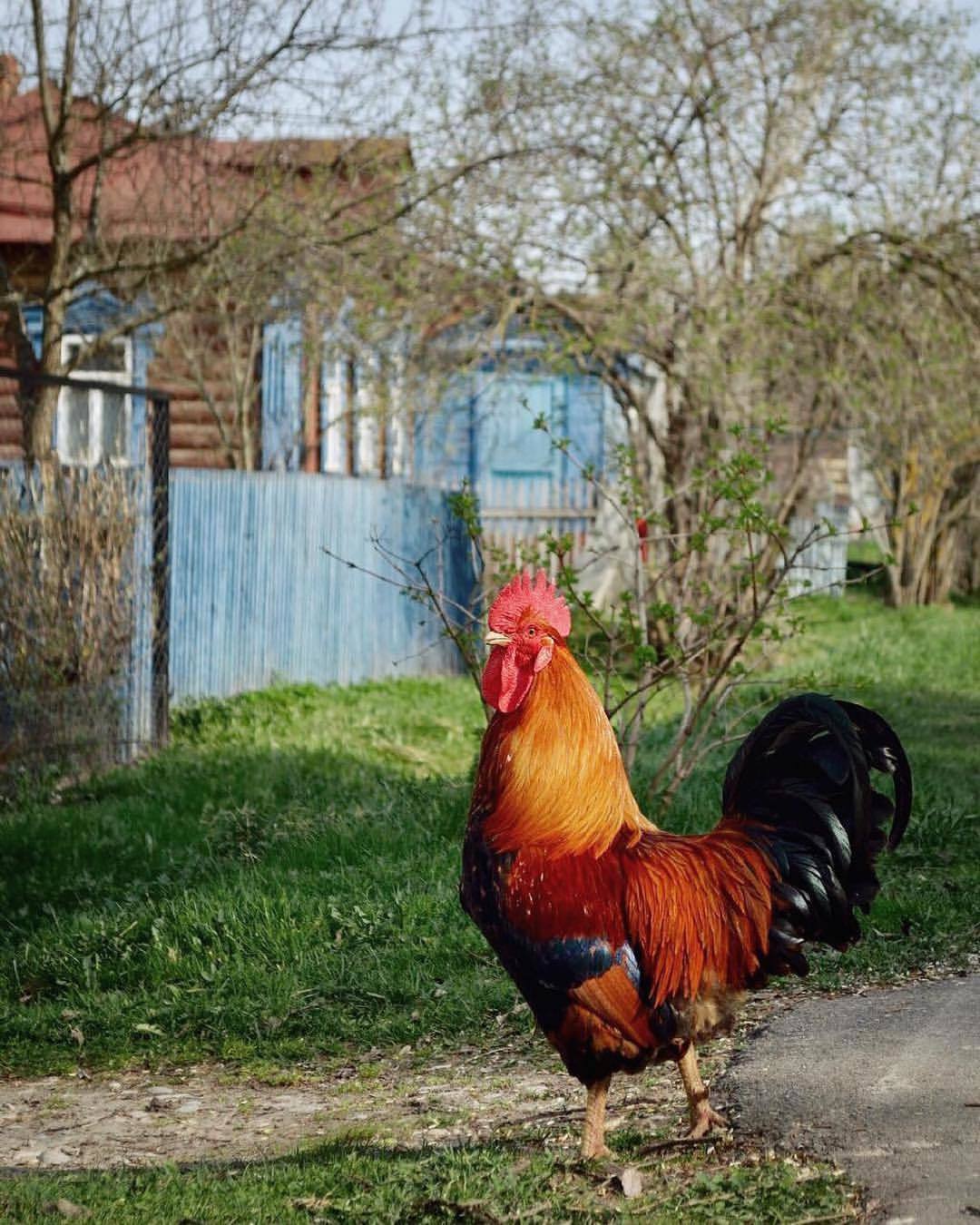 It seems like time has stopped there. - Russia, Village, The nature of Russia, beauty, Mentally, The photo, Nostalgia, Longpost