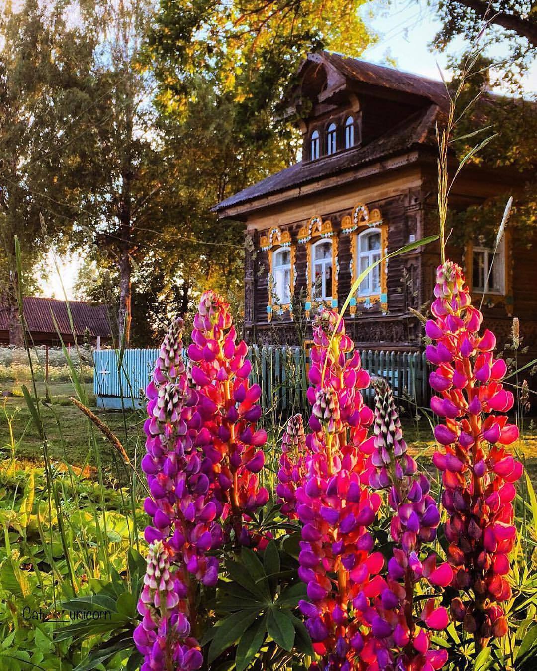 It seems like time has stopped there. - Russia, Village, The nature of Russia, beauty, Mentally, The photo, Nostalgia, Longpost